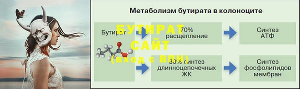 индика Аркадак