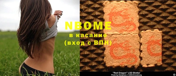 индика Аркадак