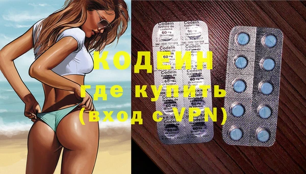 индика Аркадак
