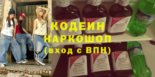 индика Аркадак