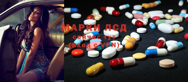 индика Аркадак