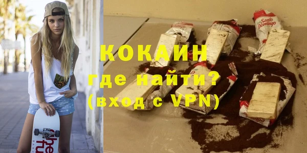 индика Аркадак