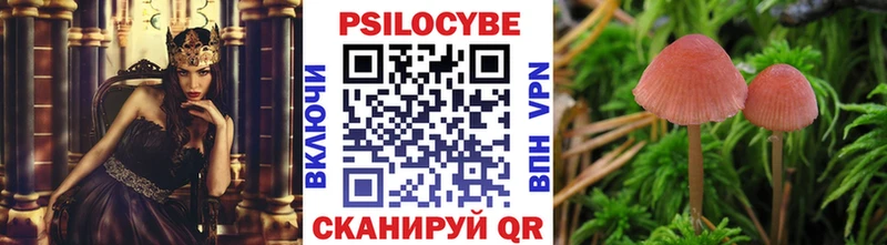 закладки  Райчихинск  Псилоцибиновые грибы Psilocybine cubensis 